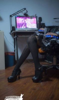 熊出没之猎鹰熊岛_蓝光完整在线观看