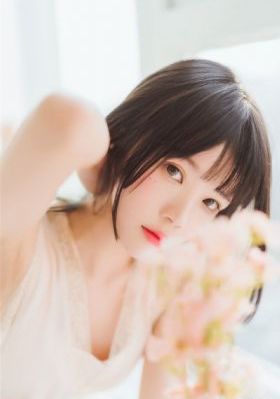 护宝风云电视剧全集在线观看免费_HD在线观看