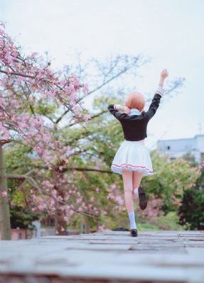 互换伴侣_蓝光免费观看视频